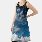 Eine Wolkenschicht Schürze (InSitu)