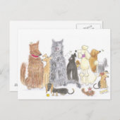 Eine wunderbare Postkarte für Hunde (Vorne/Hinten)