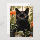 Eine wunderschöne schwarze Katze mit Sukkulationen Postkarte (Vorne/Hinten)