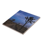 Eine Wüstenstraße und Joshua-Bäume in der Nacht Fliese (Seite)