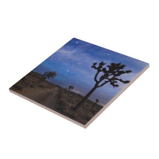 Eine Wüstenstraße und Joshua-Bäume in der Nacht Fliese (Seite)