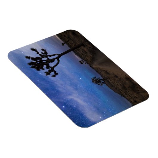 Eine Wüstenstraße und Joshua-Bäume in der Nacht Magnet (Rechte Seite)