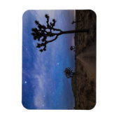 Eine Wüstenstraße und Joshua-Bäume in der Nacht Magnet (Vertikal)