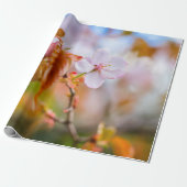 Eine zauberhafte Sakura-Blume auf einer Twig im Fr Geschenkpapier (Ungerollt)