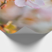 Eine zauberhafte Sakura-Blume auf einer Twig im Fr Geschenkpapier (Ecke)
