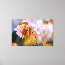 Eine zauberhafte Sakura-Blume auf einer Twig im Fr Leinwanddruck