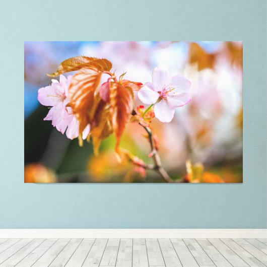 Eine zauberhafte Sakura-Blume auf einer Twig im Fr Leinwanddruck (Insitu (Holzboden))