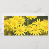 Eine Zeit für alles, was die Praetkarte kostet (Rückseite)