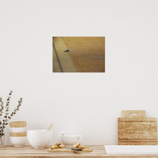 Eine Zugmaschine, die geerntet wird Poster (Küche)