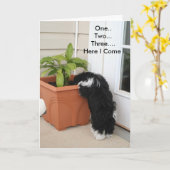 Eine zwei drei Karten (Gelbe Blume)