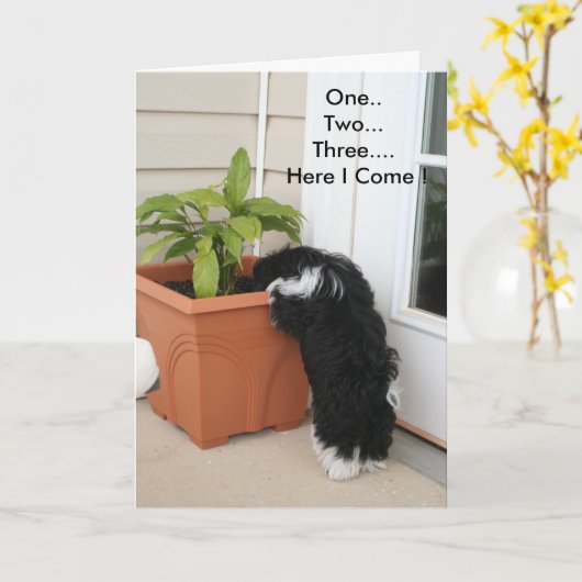 Eine zwei drei Karten (Gelbe Blume)