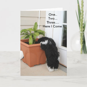 Eine zwei drei Karten