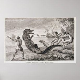 Einen Alligator mit Lasso fangen Poster