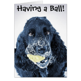 Einen Ball haben!