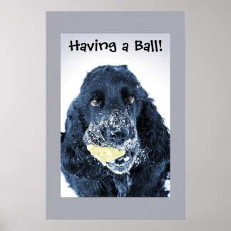 Einen Ball haben! Poster
