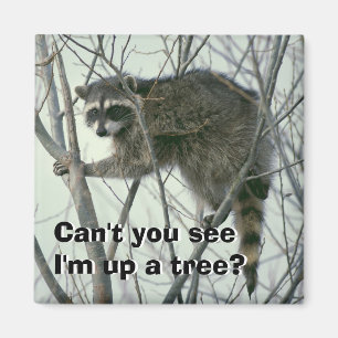 Einen Baum aufstellen Magnet
