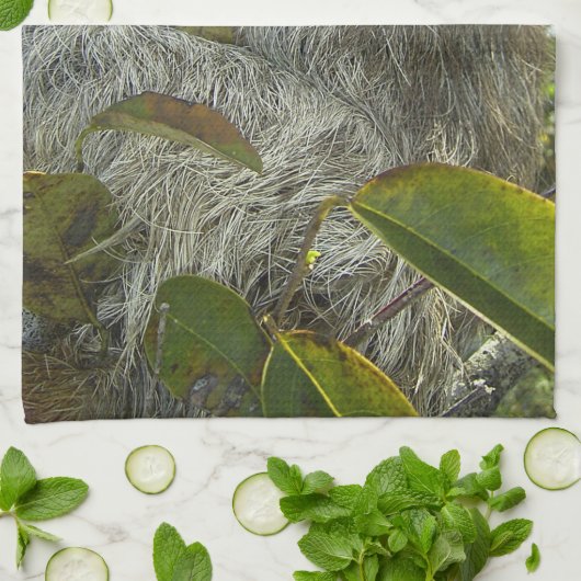 Einen Baum hinauf Geschirrtuch (Gefaltet)