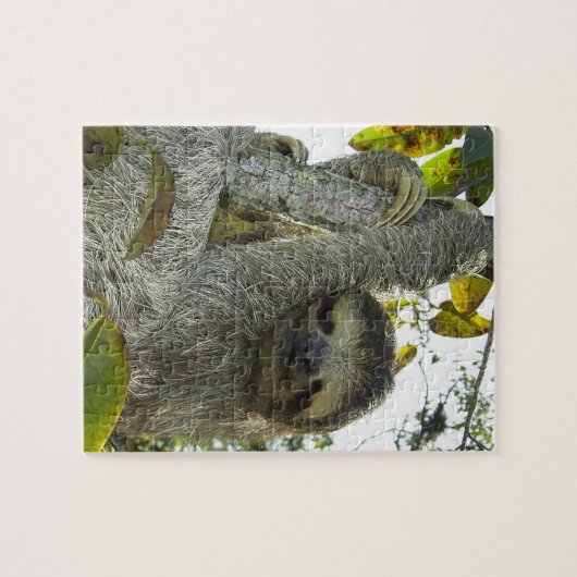 Einen Baum hinauf Puzzle (Horizontal)