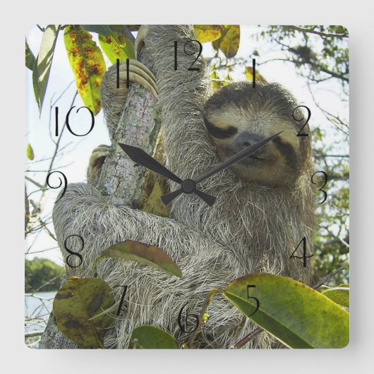 Einen Baum hinaufziehen Quadratische Wanduhr (Vorderseite)