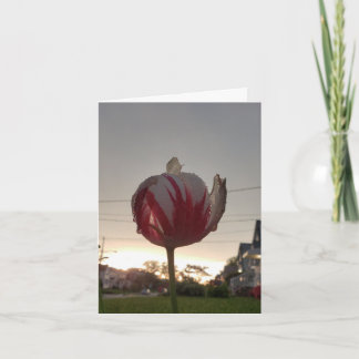 Einen echten Job, Hippie Karte