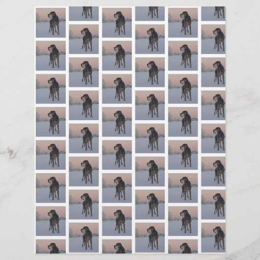 einen Freund gefunden Flyer (Hinten)