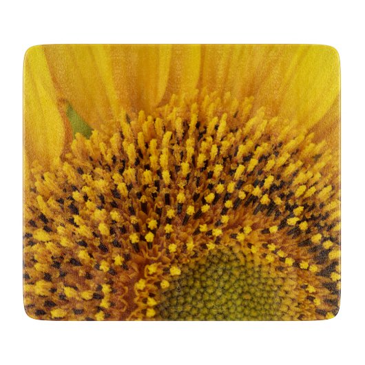 einen halben Kreis Schneidebrett (Vorderseite)