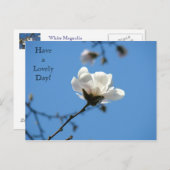 Einen schönen Tag! Postcard White Magnolia Spring Postkarte (Vorne/Hinten)