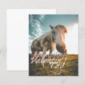 Einen schönen Valentinstag mit schauendem Pferd (Vorne/Hinten)