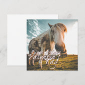 Einen schönen Valentinstag mit schauendem Pferd (Vorne/Hinten)