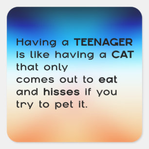 Einen Teenager haben... Quadratischer Aufkleber