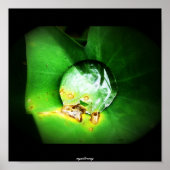 einen Tropfen Poster (Vorne)