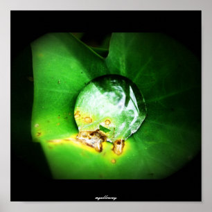 einen Tropfen Poster