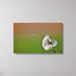 einen Wunsch zu erfüllen, Leinwanddruck