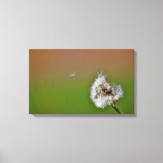 einen Wunsch zu erfüllen, Leinwanddruck (Vorderseite)