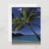 Einer der besten Strände der Welt: die Trunk Bay a Postkarte (Vorne/Hinten)