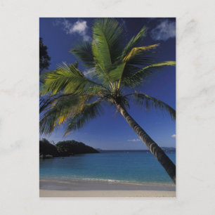 Einer der besten Strände der Welt: die Trunk Bay a Postkarte