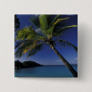 Einer der besten Strände der Welt; Trunk Bay auf Button