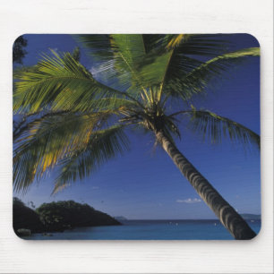Einer der besten Strände der Welt; Trunk Bay auf Mousepad
