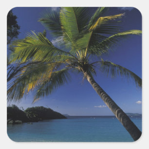 Einer der besten Strände der Welt; Trunk Bay auf Quadratischer Aufkleber