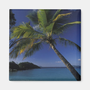 Einer der besten Strände der Welt; Trunk Bay Magnet