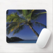 Einer der besten Strände der Welt; Trunk Bay Mousepad (Mit Mouse)