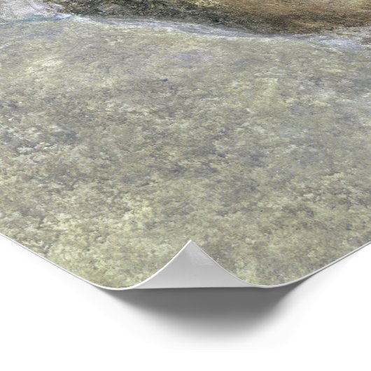 Einer der vier Winde, das Detail des Poster (Ecke)