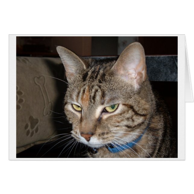 Einer dieser Tage (Vorderseite (Horizontal))