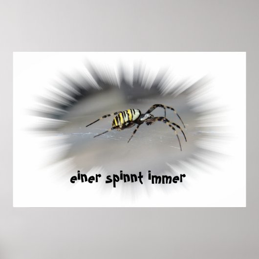 einer Spinnimmer Poster (Vorne)