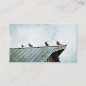 Einer von ihnen gehört nicht, 4 Tauben und 1 Sparr Visitenkarte (Rückseite)