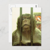 Eines dieser Tage.... Postkarte (Vorne/Hinten)