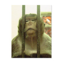 Eines dieser Tage....