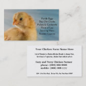 Eines-Tag-alt Küken - Schichten oder Visitenkarte (Vorne/Hinten)