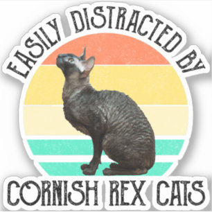 Einfach abgelenkt durch Cornish Rex Katzen Aufkleber