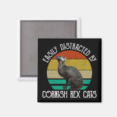 Einfach Ablenkbar Durch Cornish Rex Katzen Magnet (Vorderseite/Rückseite)